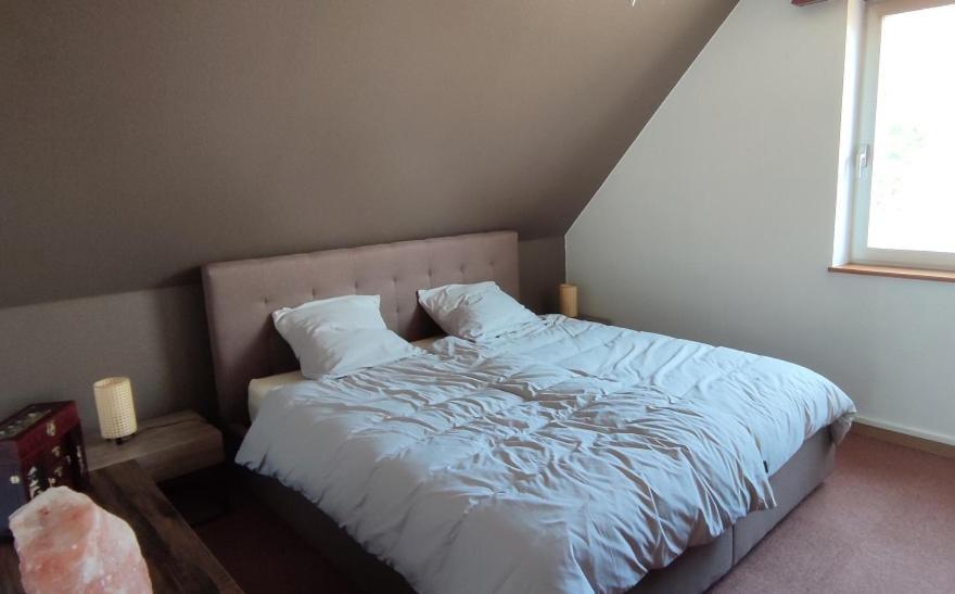 Le Strasbourgeois Apartment Illkirch-Graffenstaden Bagian luar foto