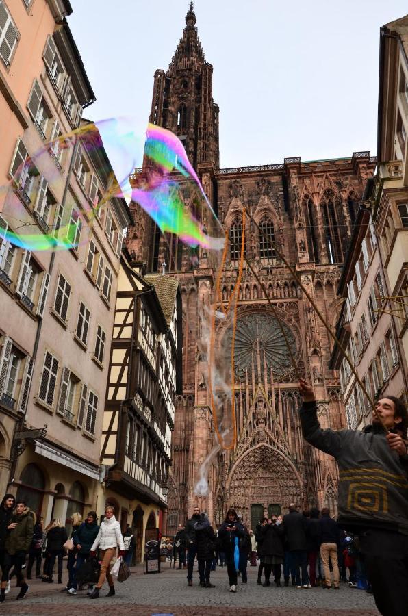 Le Strasbourgeois Apartment Illkirch-Graffenstaden Bagian luar foto