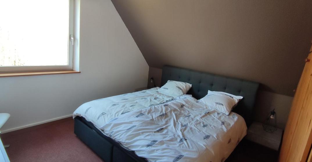 Le Strasbourgeois Apartment Illkirch-Graffenstaden Bagian luar foto