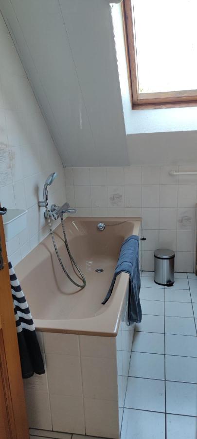 Le Strasbourgeois Apartment Illkirch-Graffenstaden Bagian luar foto