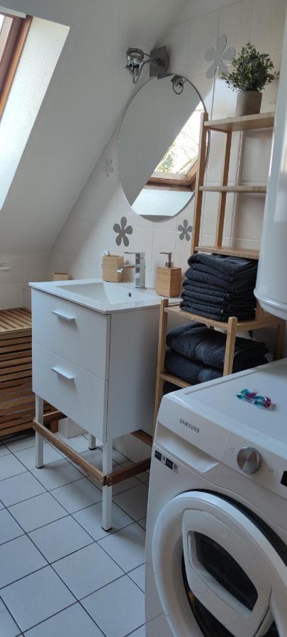Le Strasbourgeois Apartment Illkirch-Graffenstaden Bagian luar foto